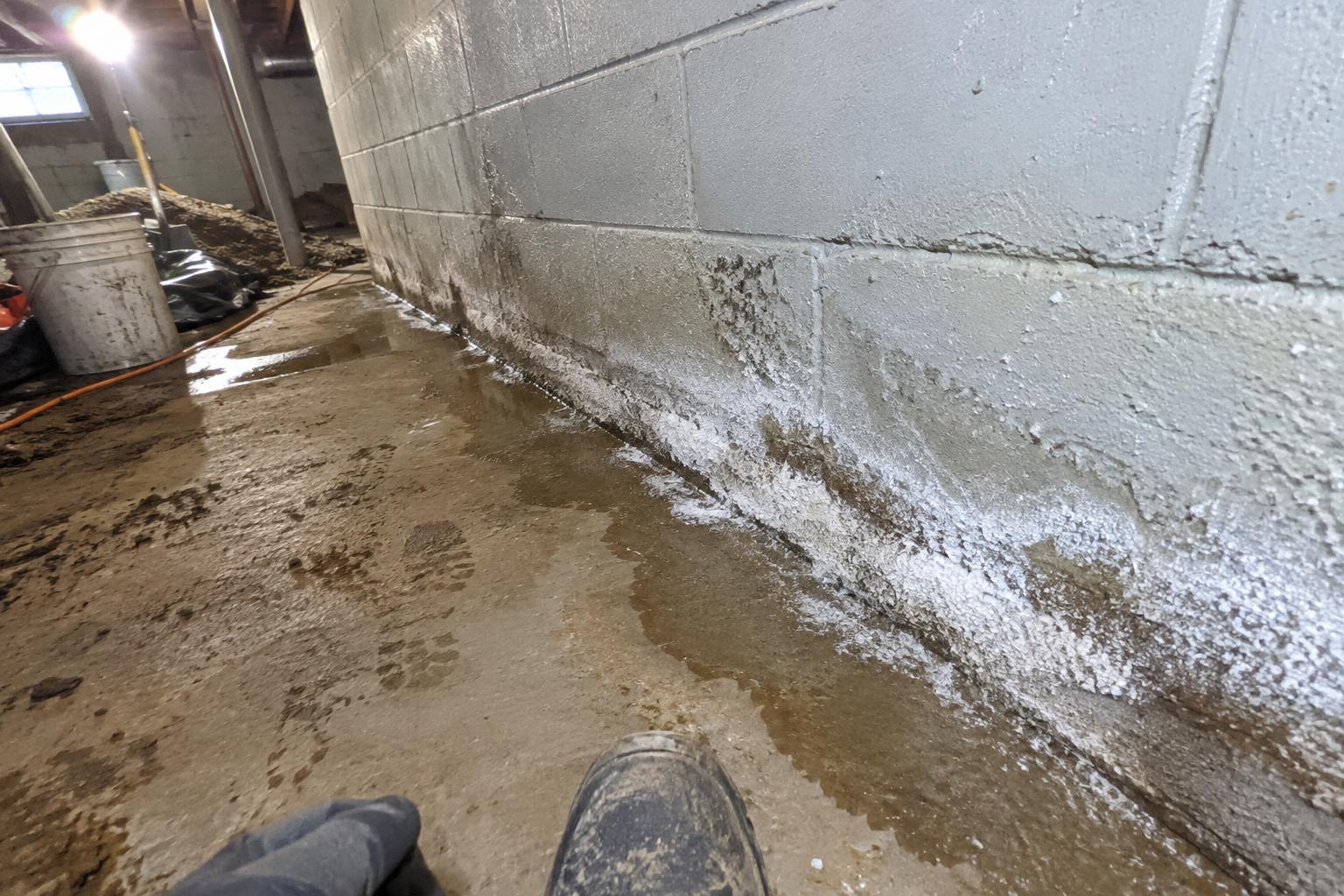 White efflorescence crust and a damp horizontal line along the bottom course of a concrete block basement wall where it meets the floor