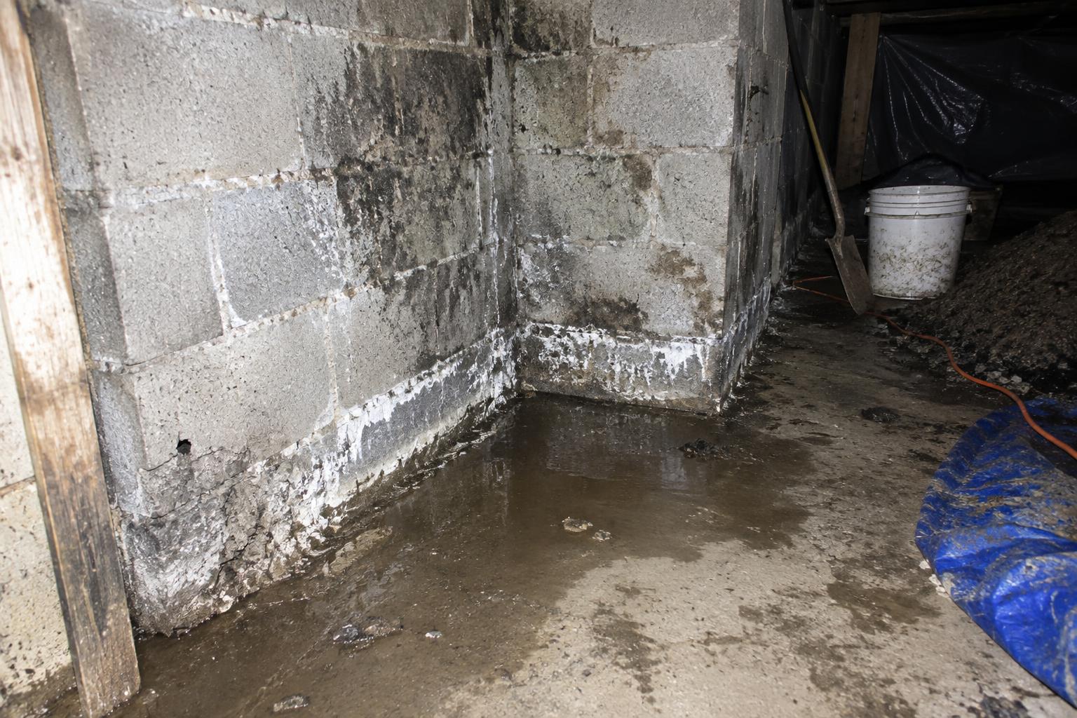 Wet basement corner in a block foundation showing a white mineral stain line and small puddle where the floor meets the wall